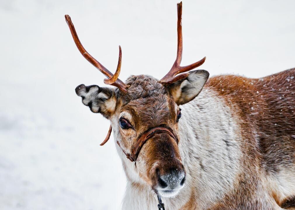 Rudolph, Wisconsin